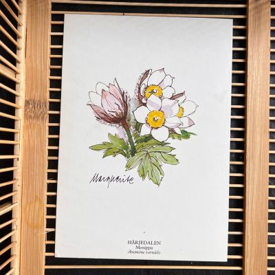 Открытка серия Ботаника Mosippa 15х21 см Швеция