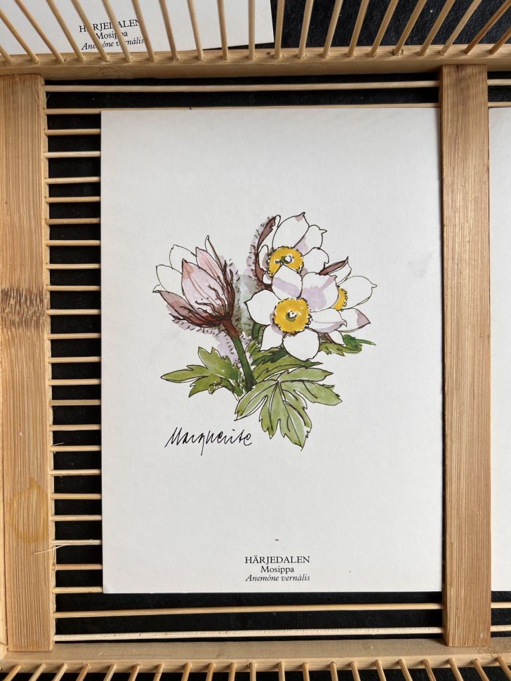 Открытка серия Ботаника Mosippa 15х21 см Швеция