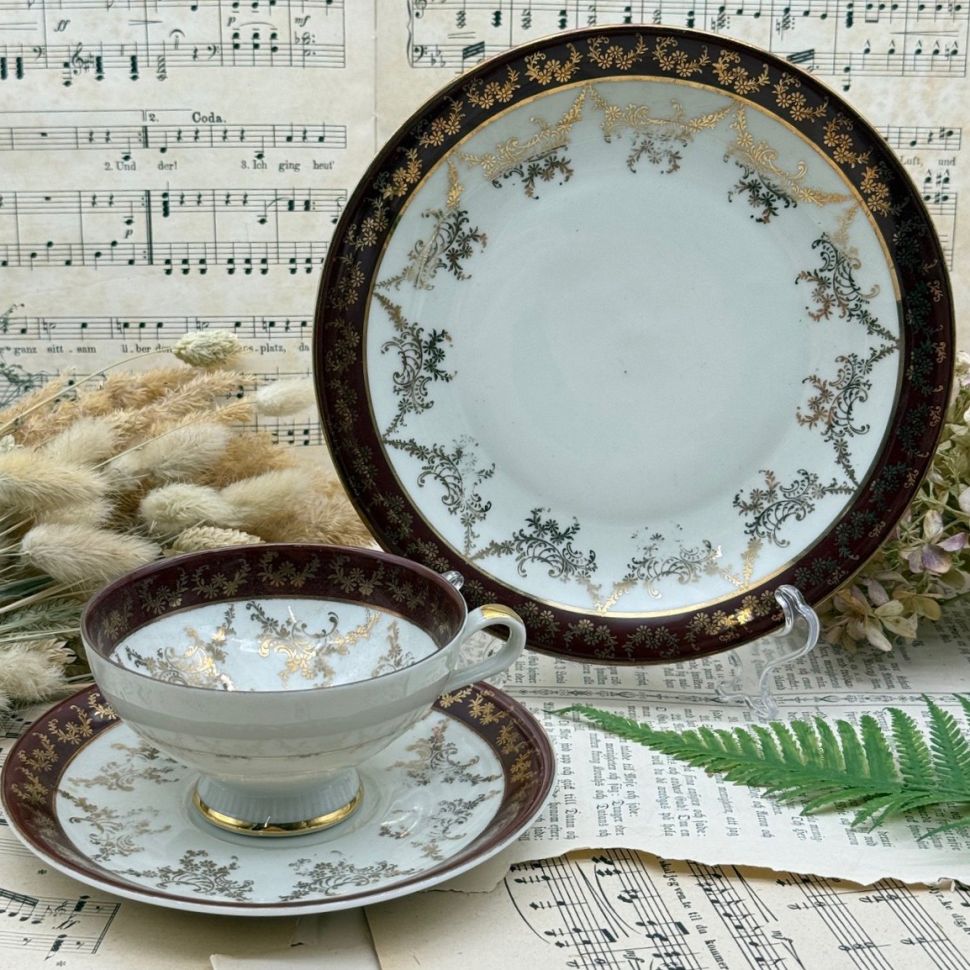 Чайное трио Schlottenhof 180 мл Германия  