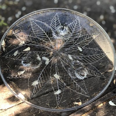 Блюдо Чертополох 32 см хрусталь