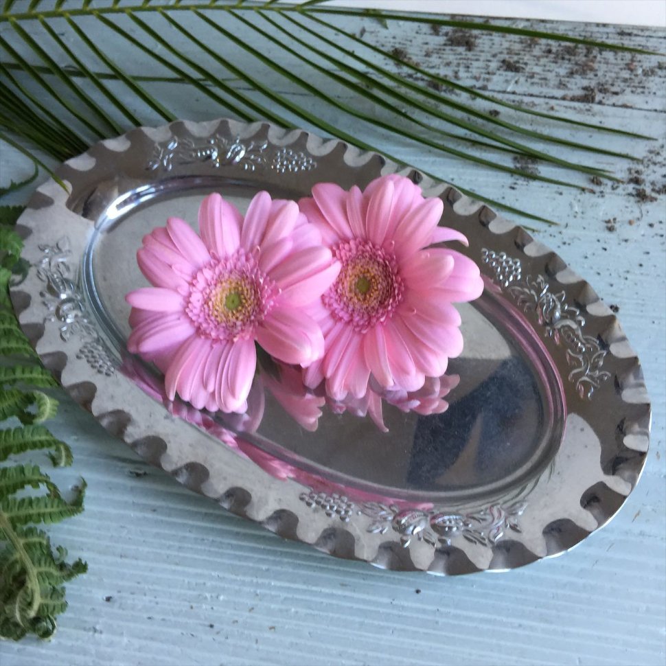 Блюдо поднос овал фрукты 24х15 см