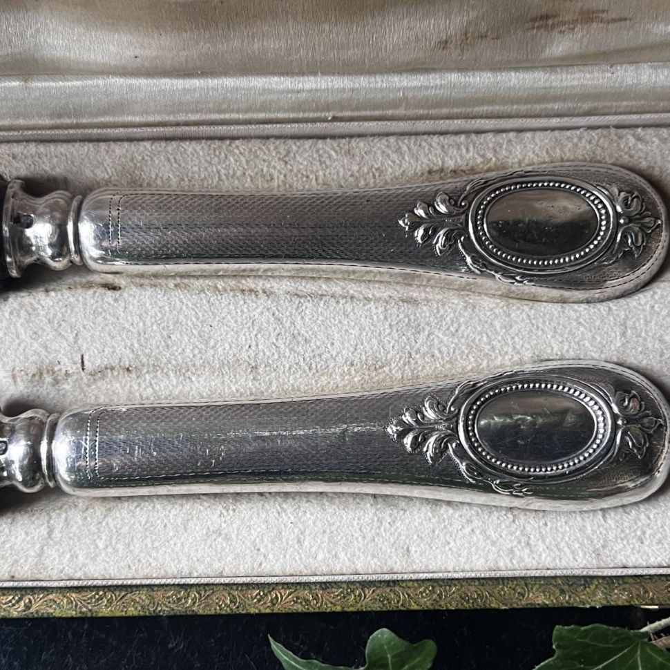 Набор вилка нож сервировочный Acier Fondu серебро сталь Франция