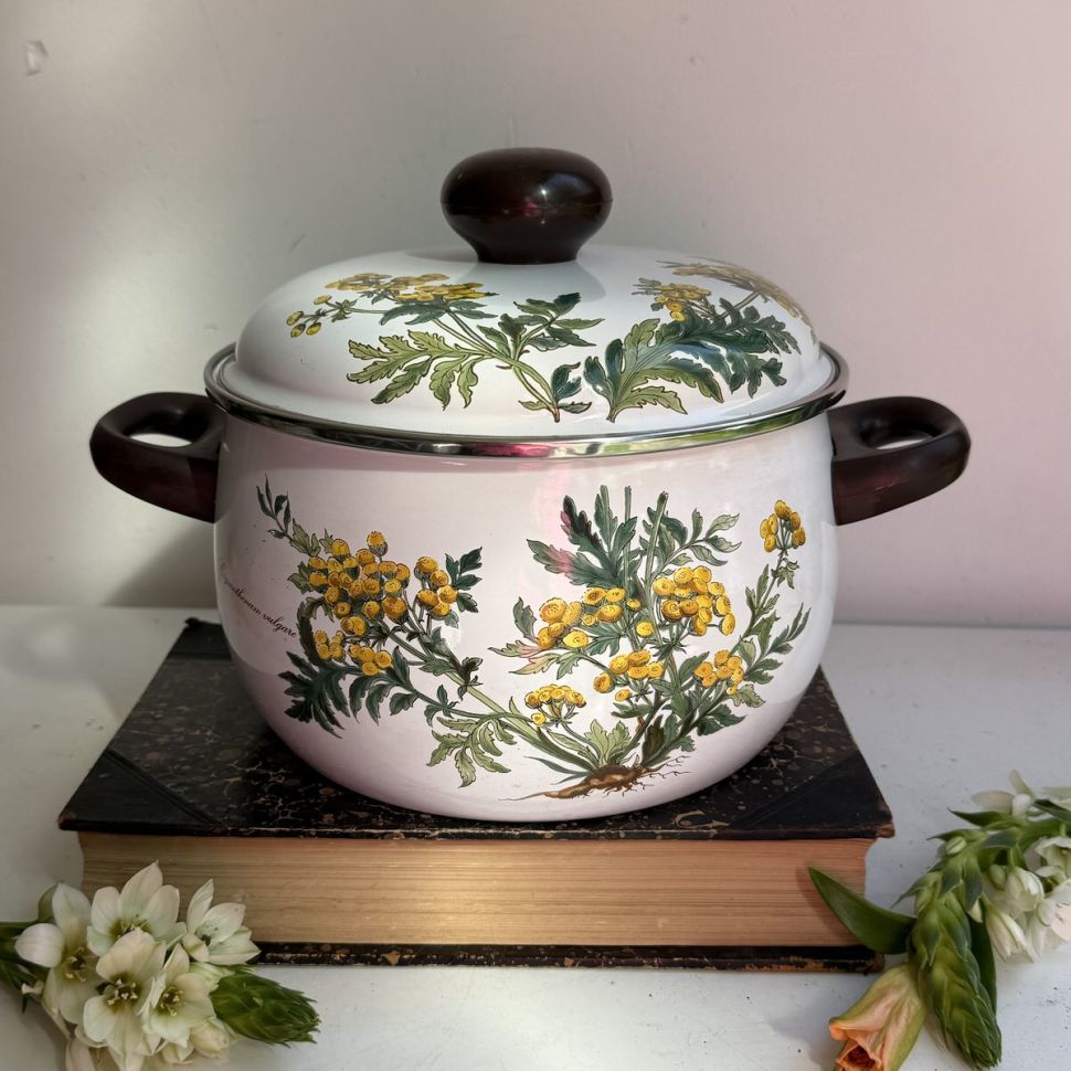 Кастрюля Botanica ВиллеройБох 4 л эмалированная