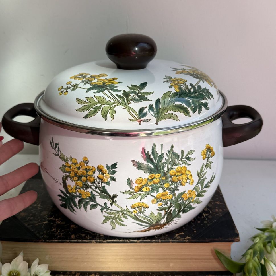 Кастрюля Botanica ВиллеройБох 4 л эмалированная