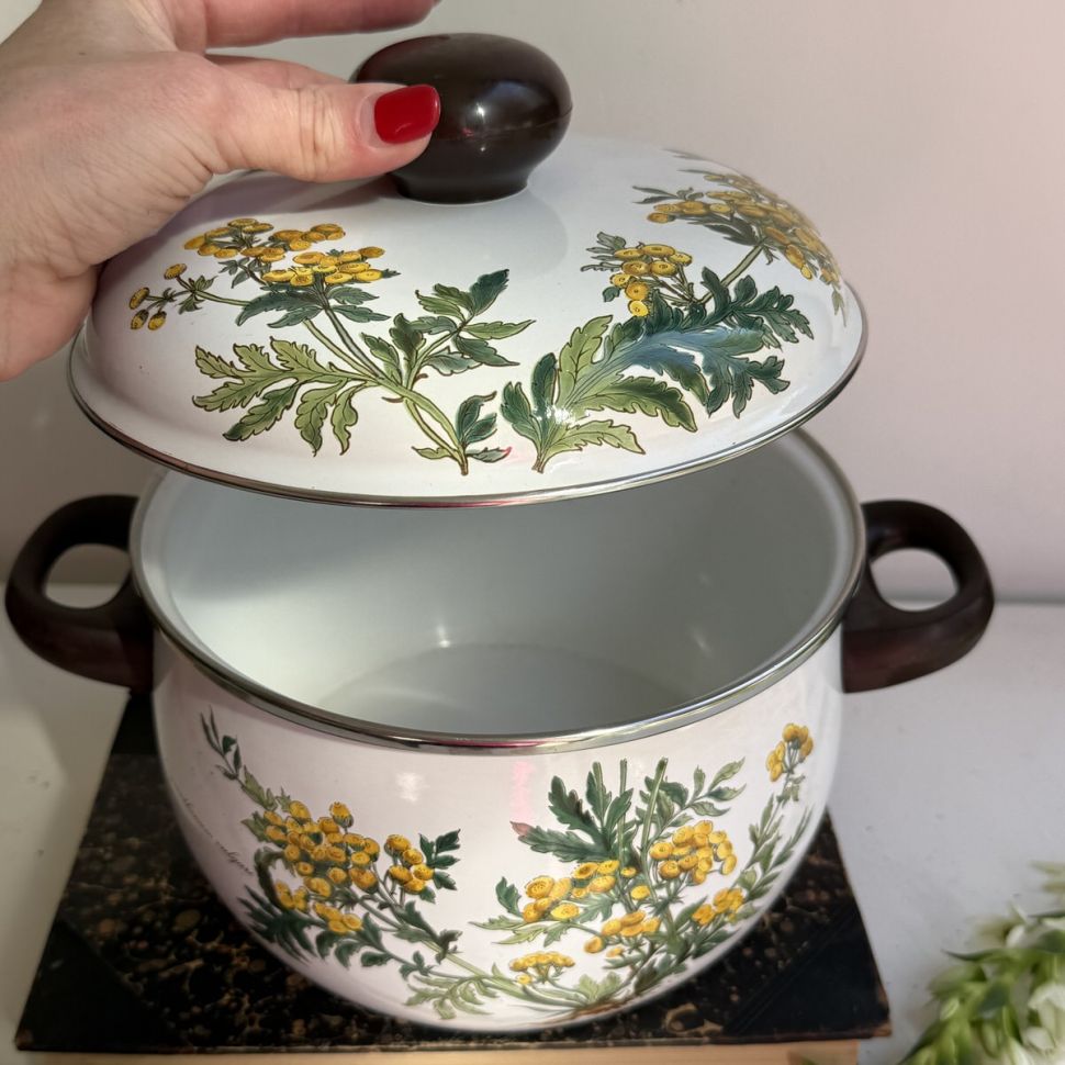 Кастрюля Botanica ВиллеройБох 4 л эмалированная