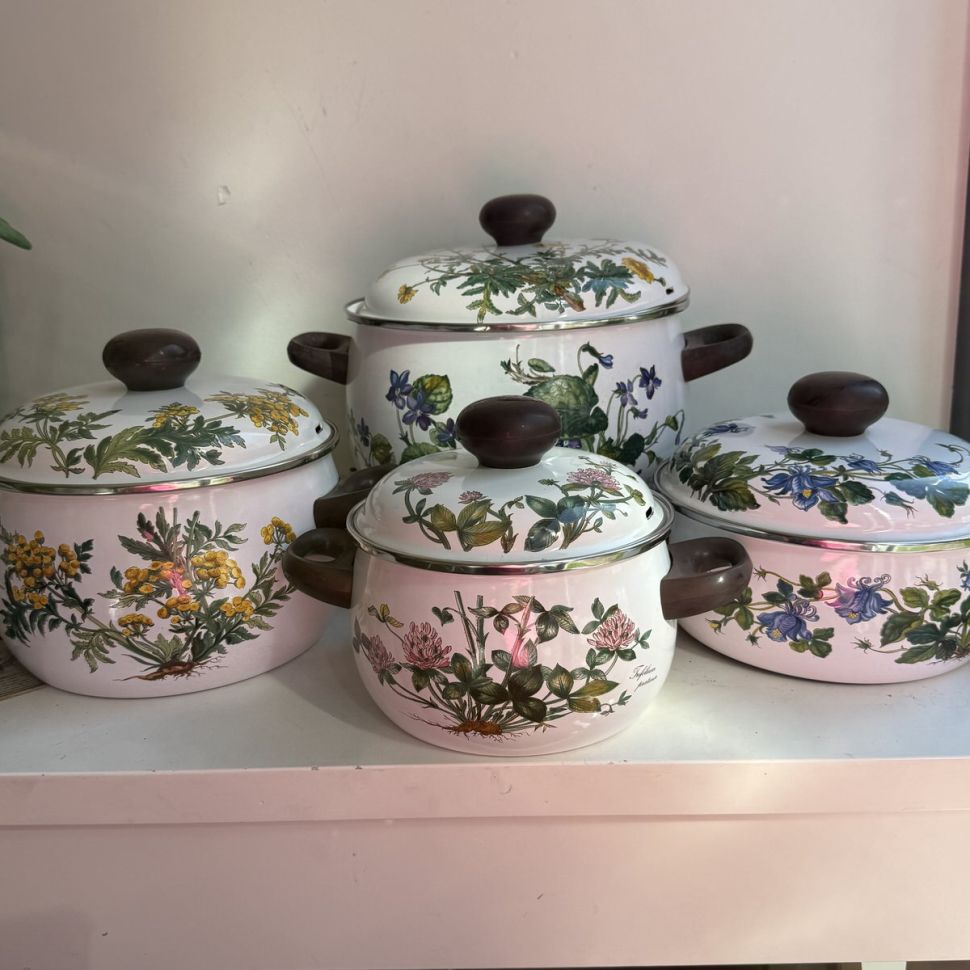 Кастрюля Botanica ВиллеройБох 4 л эмалированная