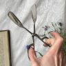 Щипцы для десерта 18 см серебрение
