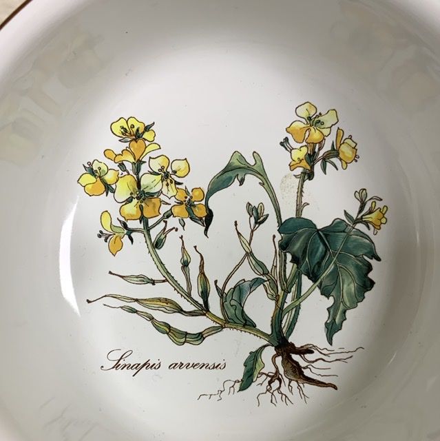 Бульонная чаша кокотница Botanica Sinapis arvensis 500 мл ВиллеройБох