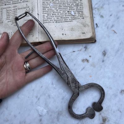 Щипцы для колки сахара 22 см металл