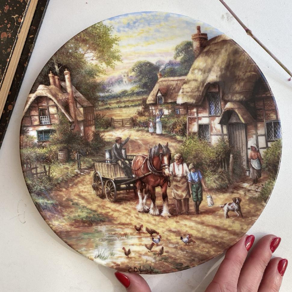 Тарелка Wedgwood Early Morning Milk 21 см