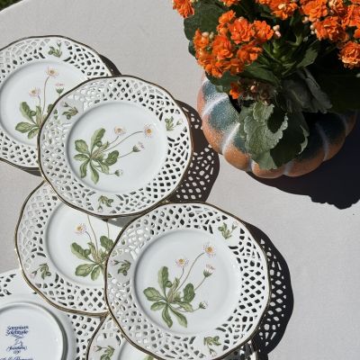Тарелка Svaneholm № VIII Somnium Solstitiale Bellis Perennis 17 см фарфор Швеция