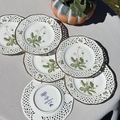 Тарелка Svaneholm № VIII Somnium Solstitiale Bellis Perennis 17 см фарфор Швеция