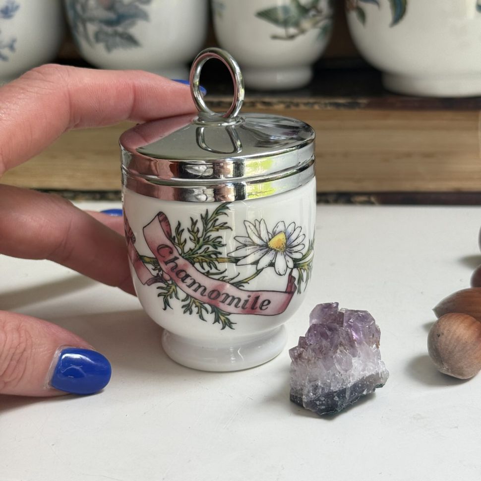 Кодлер на 1 яйцо Royal Worcester Ромашка Англия