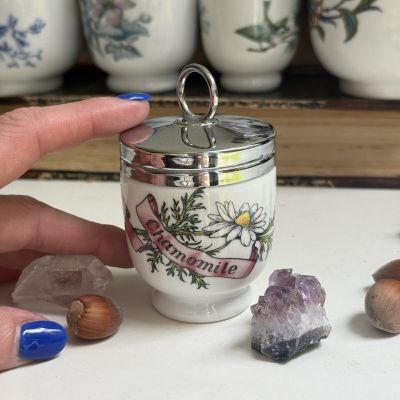 Кодлер на 1 яйцо Royal Worcester Ромашка Англия