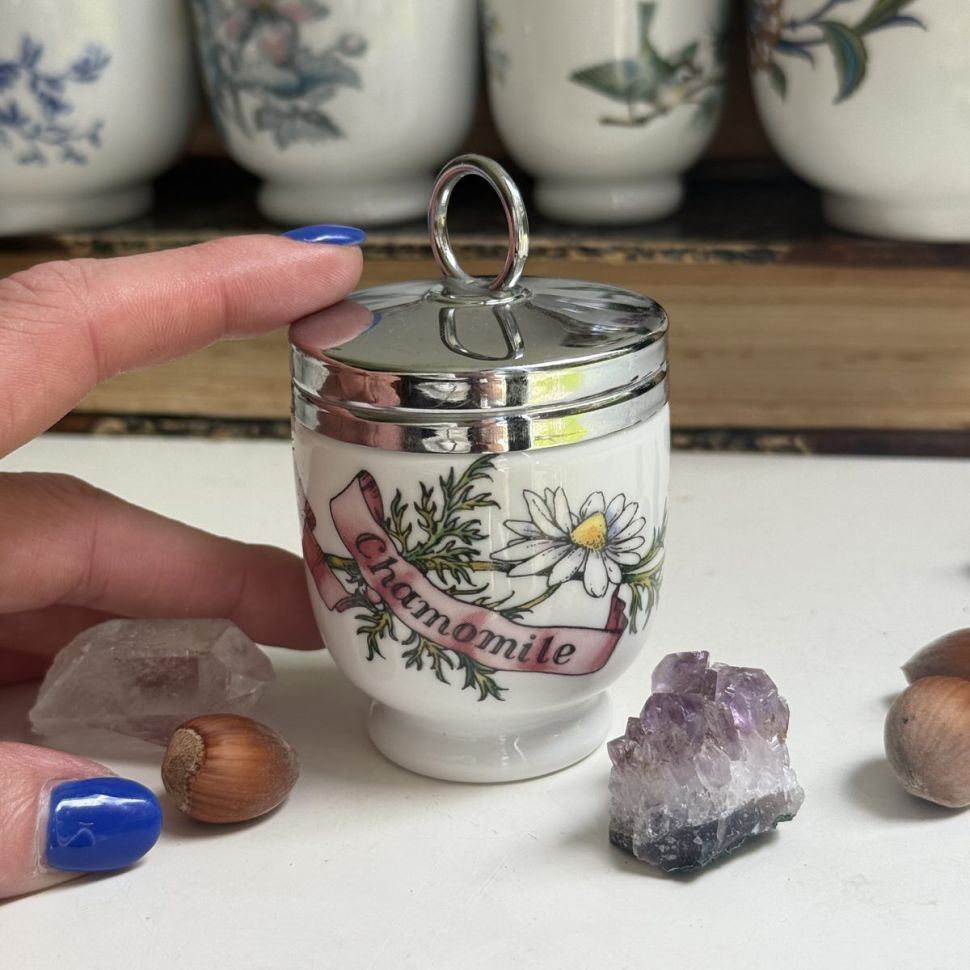 Кодлер на 1 яйцо Royal Worcester Ромашка Англия