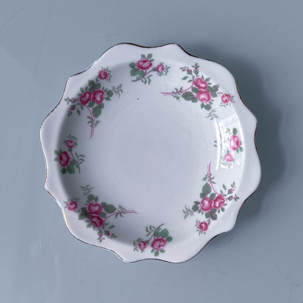 Розетка Richmond Rose Jime 11 см Англия