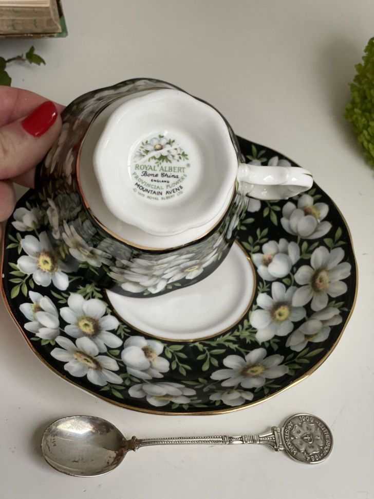 Чайная пара черный Royal Albert Provincial Flowers Mountain Avens 200 мл Англия