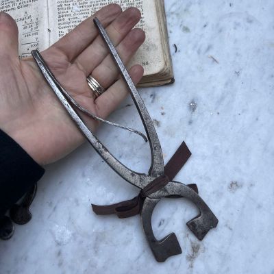 Щипцы для колки сахара 21 см металл