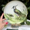 Тарелка Franklin Porcelain Птицы 23 см фарфор Франция 1984 г