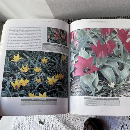 Книга каталог о тюльпанах на немецком языке