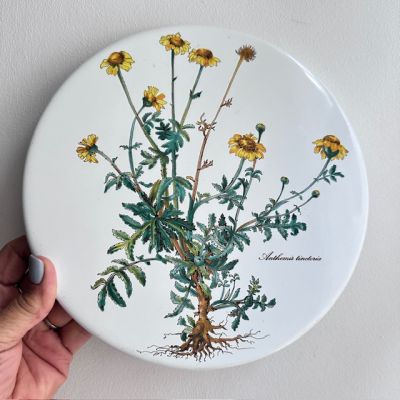 Накладка эмалированная Botanica ВиллеройБох 24 см на плиту