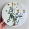 Накладка эмалированная Botanica ВиллеройБох 24 см на плиту