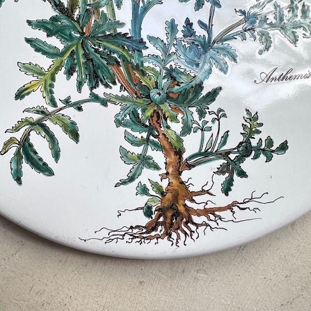 Накладка эмалированная Botanica ВиллеройБох 24 см на плиту