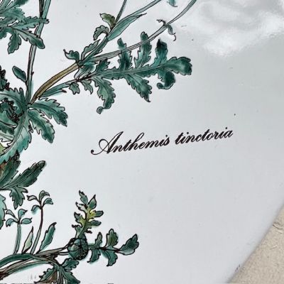 Накладка эмалированная Botanica ВиллеройБох 24 см на плиту