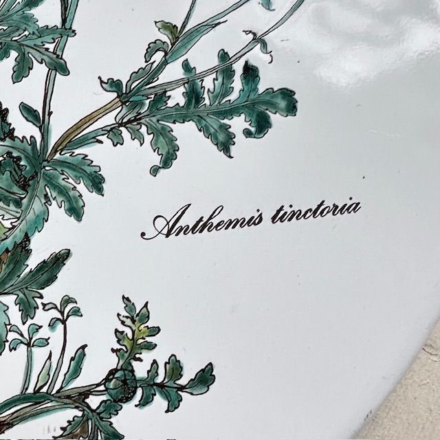 Накладка эмалированная Botanica ВиллеройБох 24 см на плиту