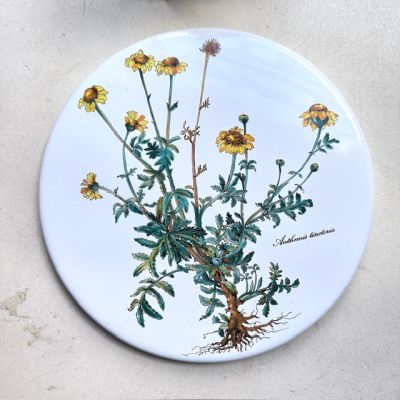 Накладка эмалированная Botanica ВиллеройБох 24 см на плиту