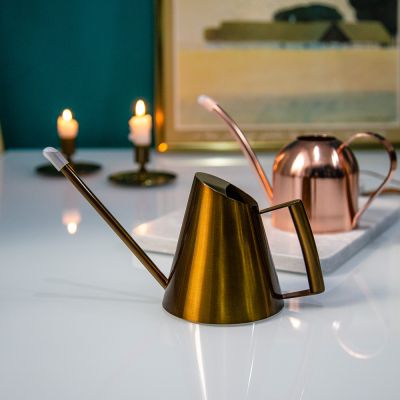 Лейка 400 мл сталь с металлизированной краской