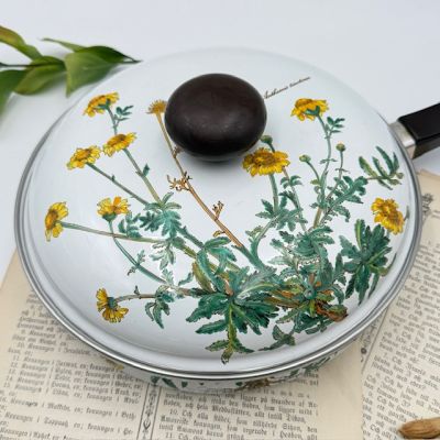 Сковорода Botanica ВиллеройБох 26 см эмалированная