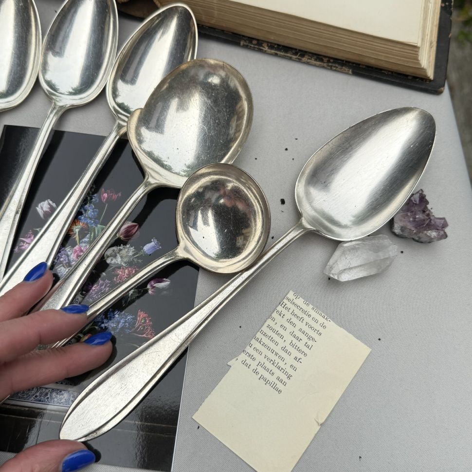 Ложка столовая Лепесток 21 см Gero 90 серебрение   