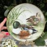 Тарелка Franklin Porcelain Птицы 23 см фарфор Франция 1984 г