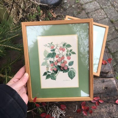 Картина репродукция малина