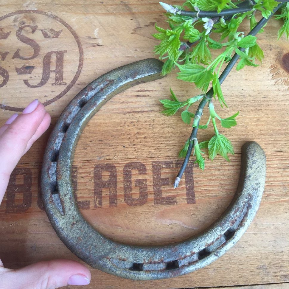 Подкова настоящая