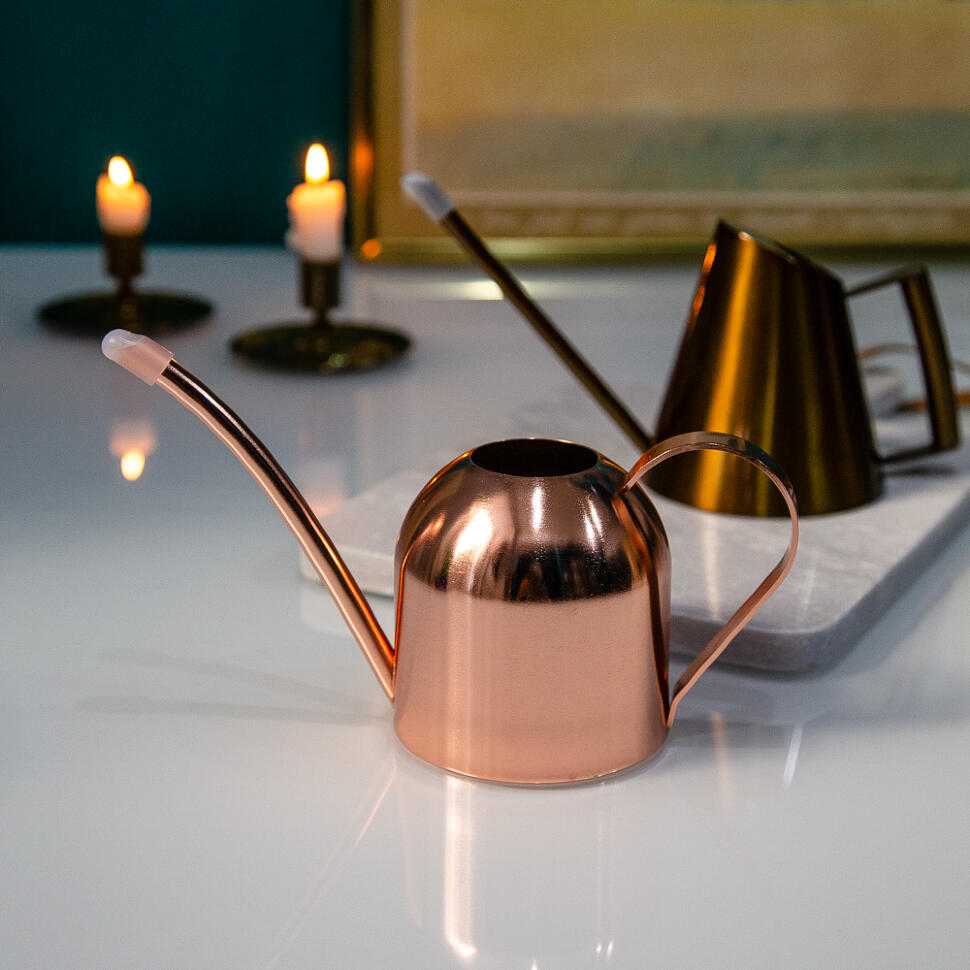 Лейка 500 мл сталь с метализированной краской