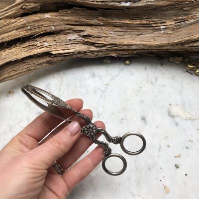 Щипцы для закусок Тыковки