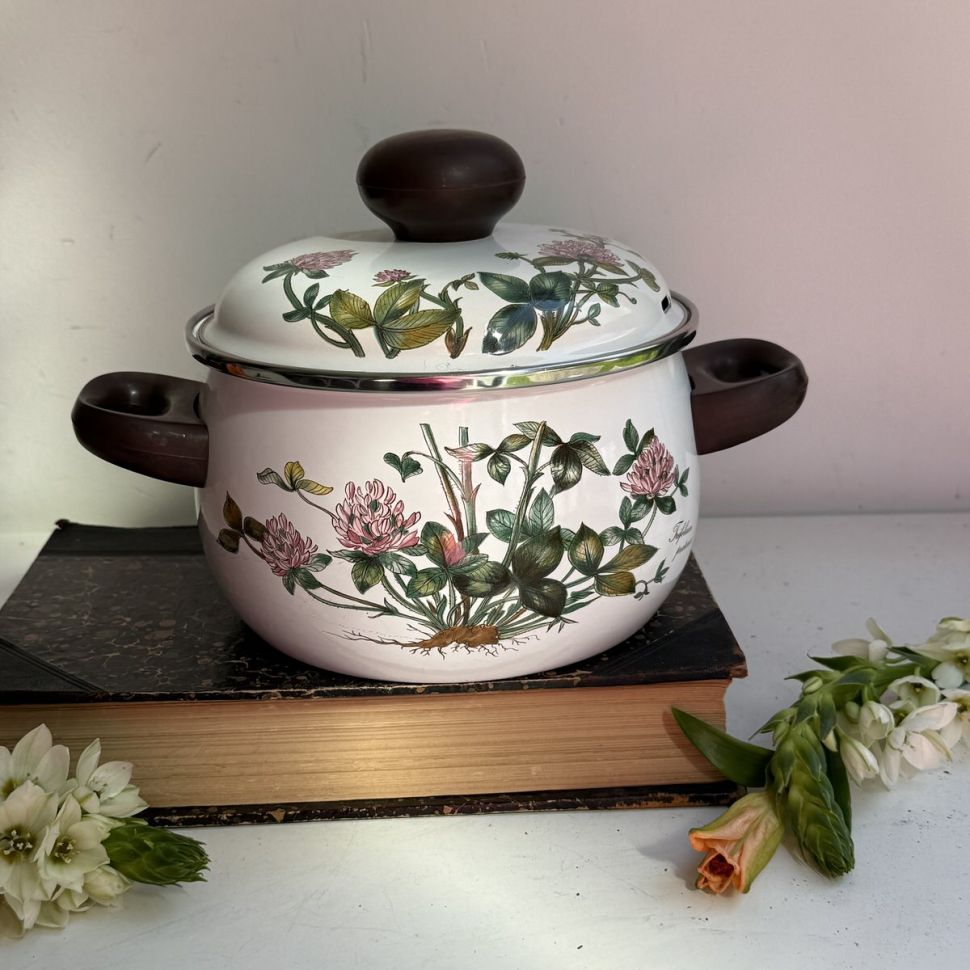 Кастрюля Botanica ВиллеройБох 2,3 л эмалированная