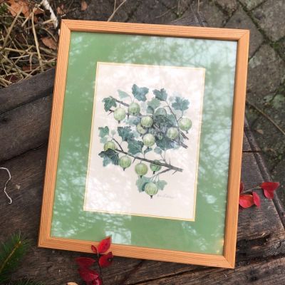 Картина литография репродукция крыжовник