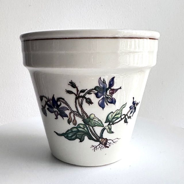 Кашпо Botanica ВиллеройБох 8 см 