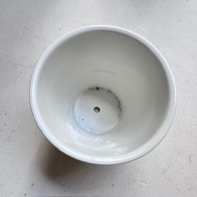 Кашпо Botanica ВиллеройБох 8 см 