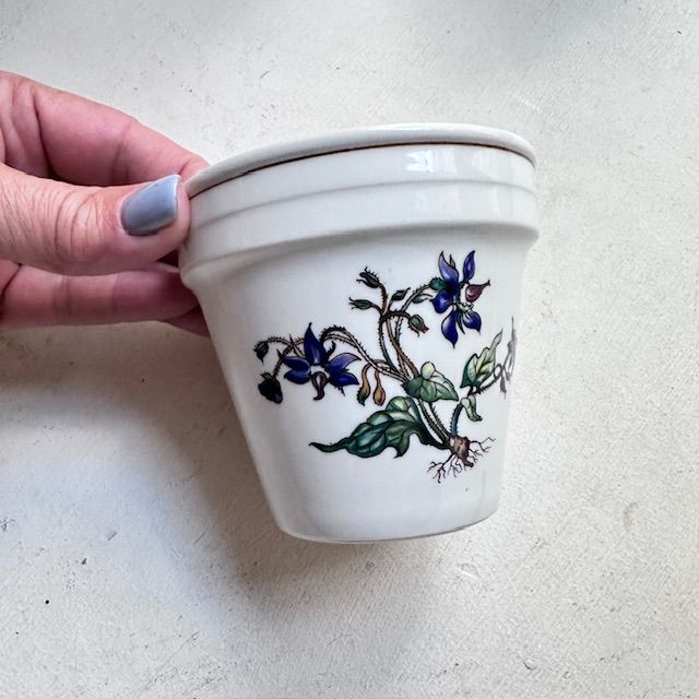 Кашпо Botanica ВиллеройБох 8 см 