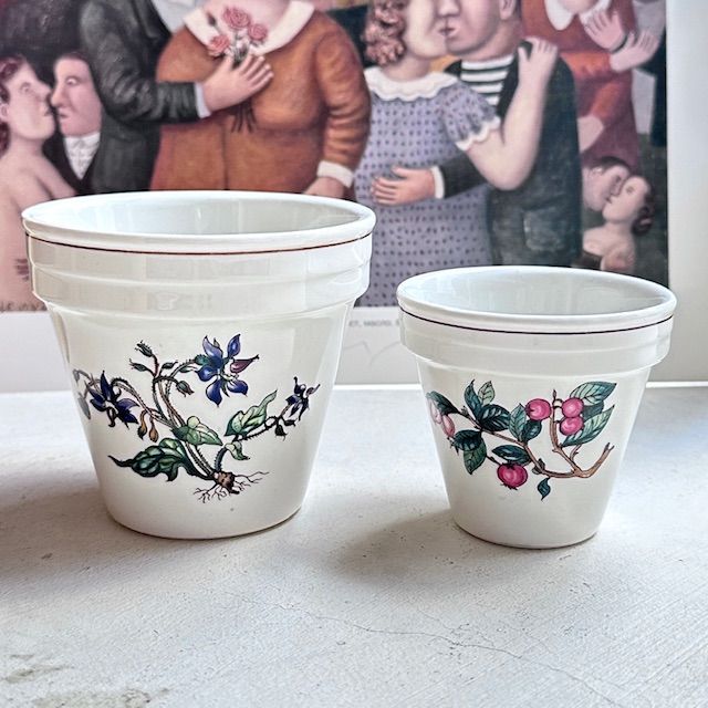 Кашпо Botanica ВиллеройБох 8 см 