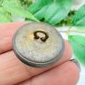Пуговица старинная Собака 2,5 см латунь