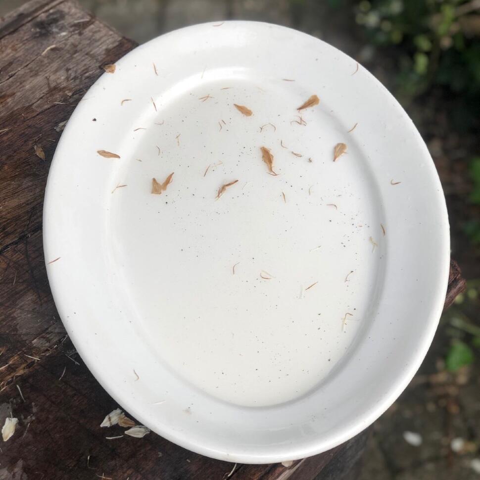 Блюдо большое 43 см овальное белое