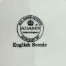 Чайная пара Adams Wedgwood group English Scenic 180 мл Англия 