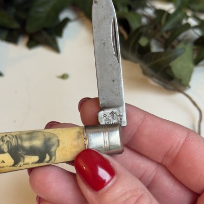 Нож перочинный "Африка" Richardson Sheffield Англия