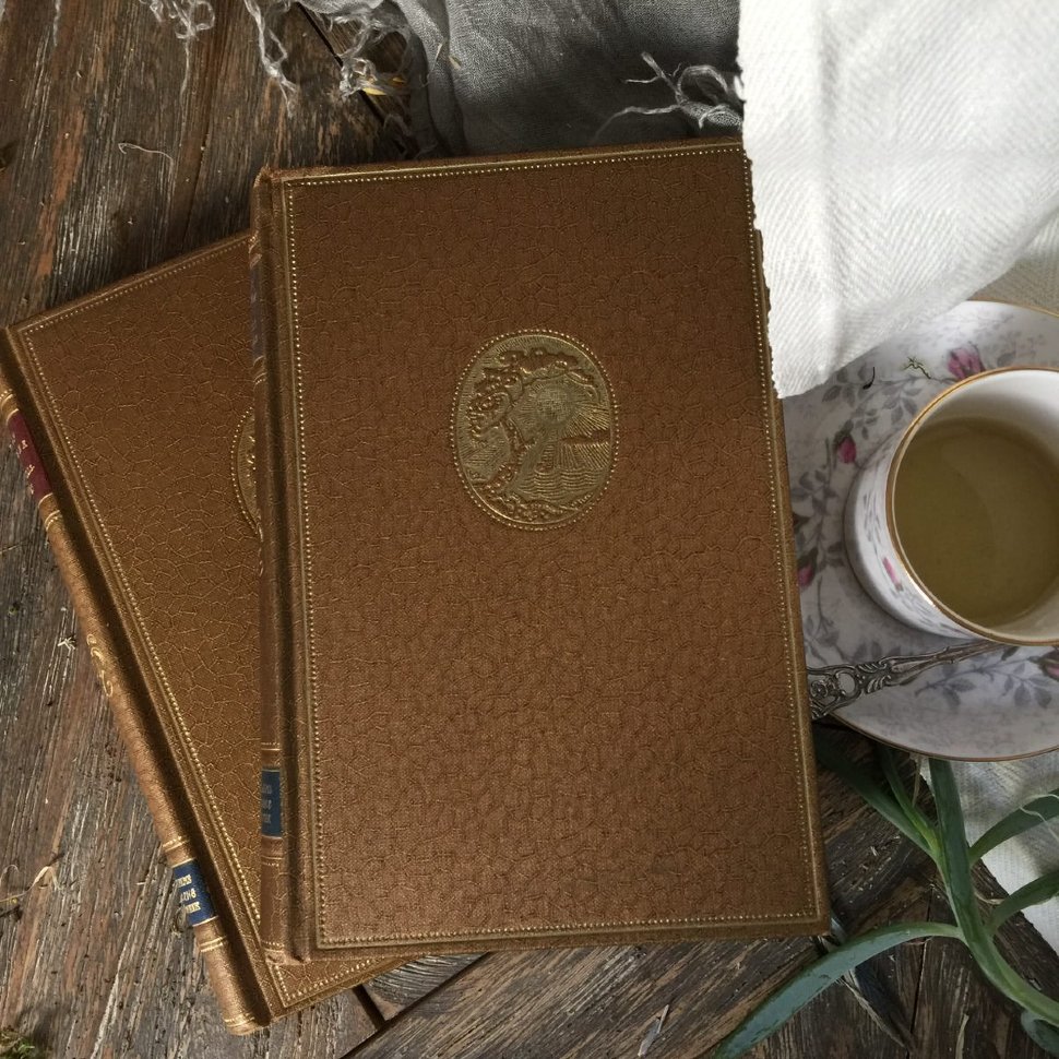 Книга Albert Engstrom 1929 год