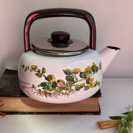 Чайник Botanica ВиллеройБох 4 л эмалированная